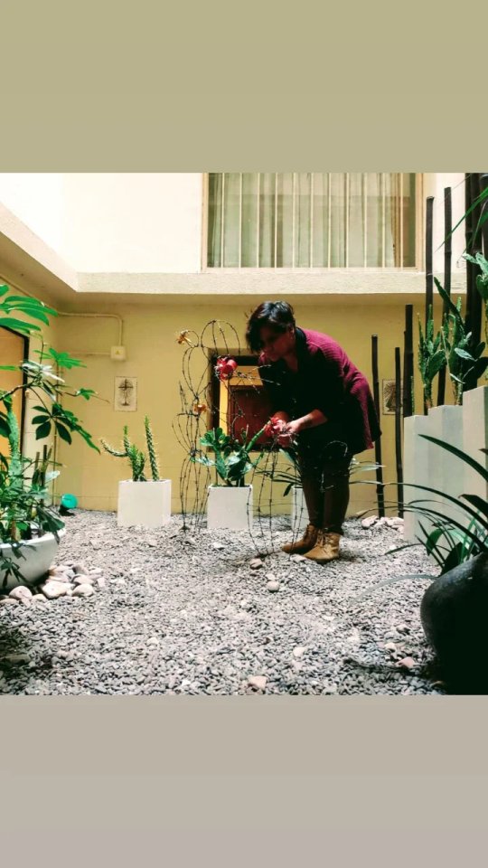 Foto del proyecto