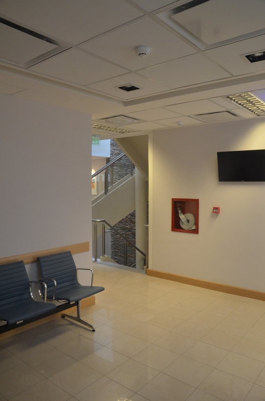 Foto del proyecto