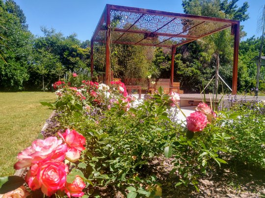 Foto del proyecto