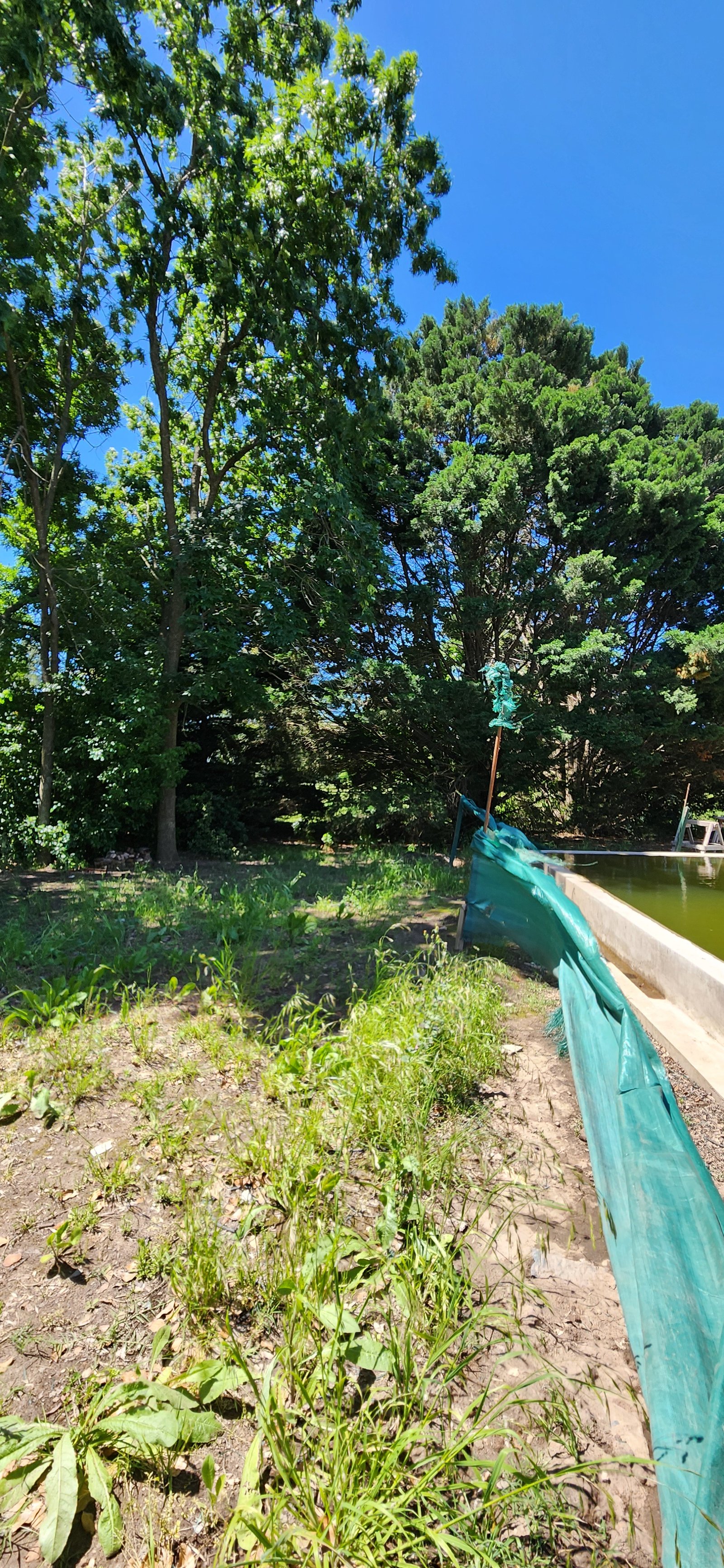 área de jardim em construção com piscina natural e cercas — projeto Casa CAD, por Estudio Rifahi, em Moreno