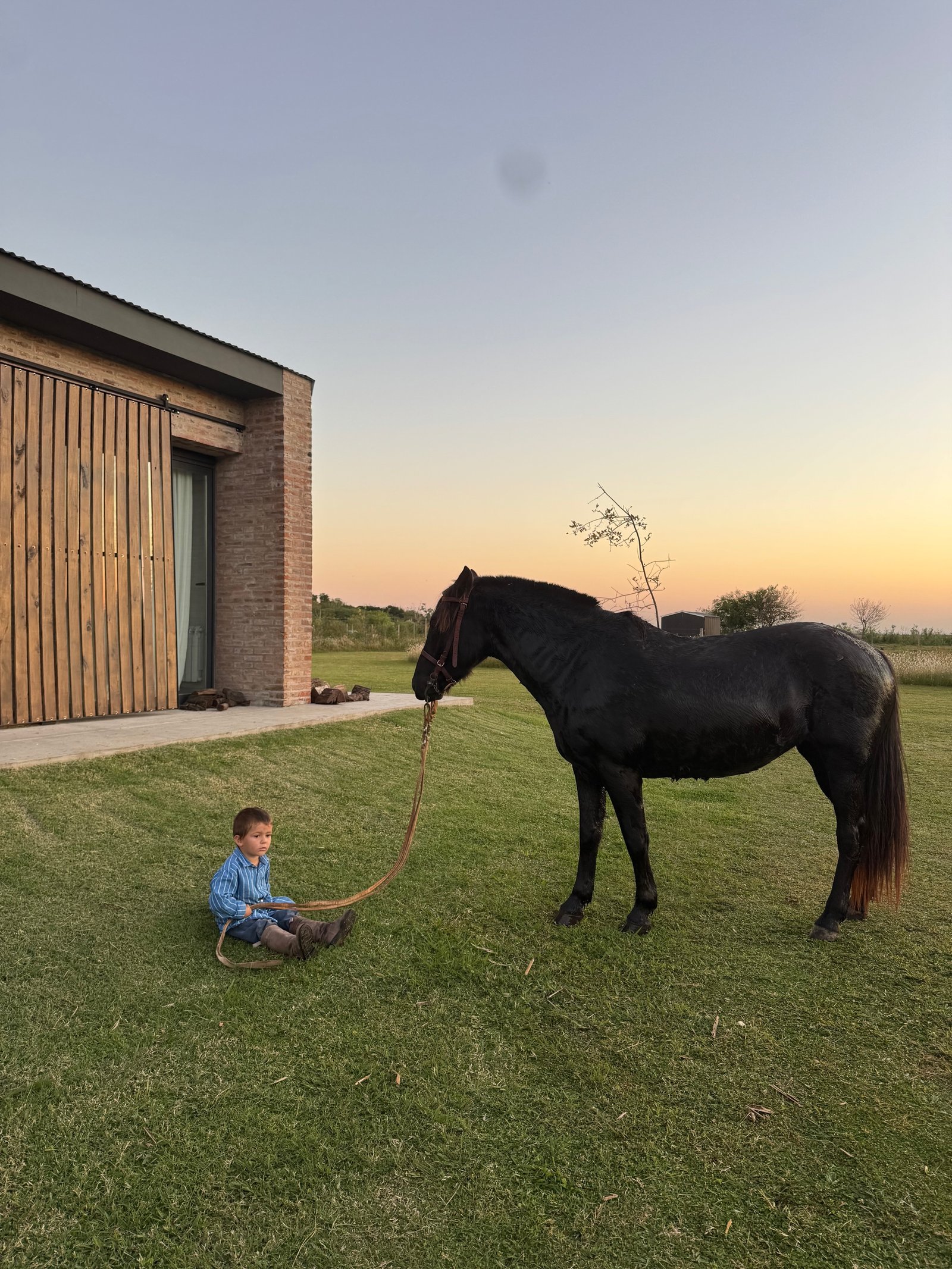 menino sentado com cavalo preto em frente a casa de madeira — projeto Casa Areco, por R+B arquitectos, em San Antonio de Areco