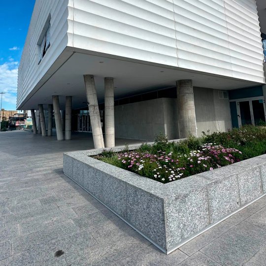 Foto del proyecto
