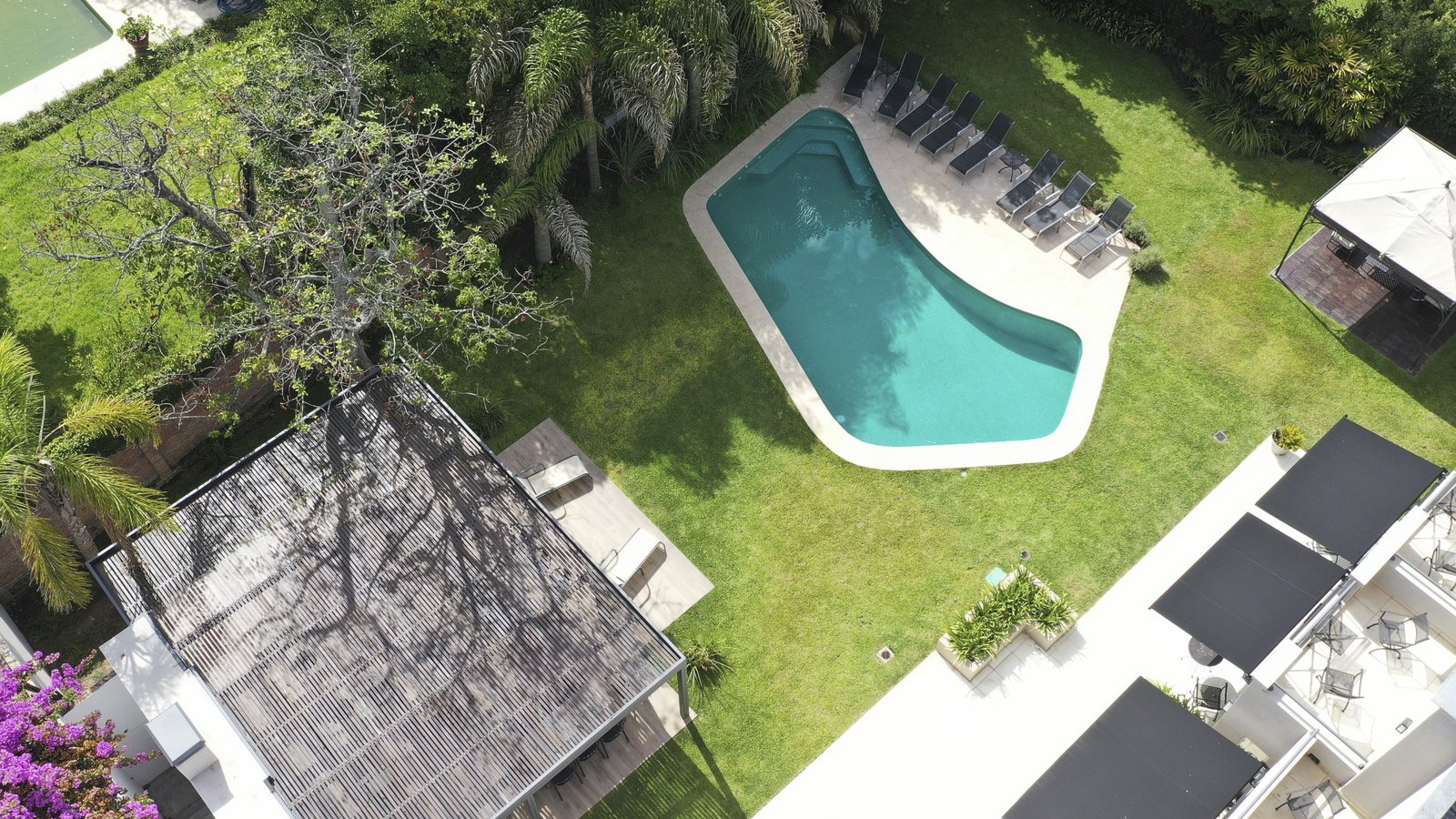Área de piscina residencial moderna con vegetación exuberante — proyecto Villa Isidro Hotel Boutique & Spa, por Hermann Arquitectos, en San Isidro