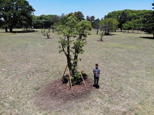 Foto del proyecto