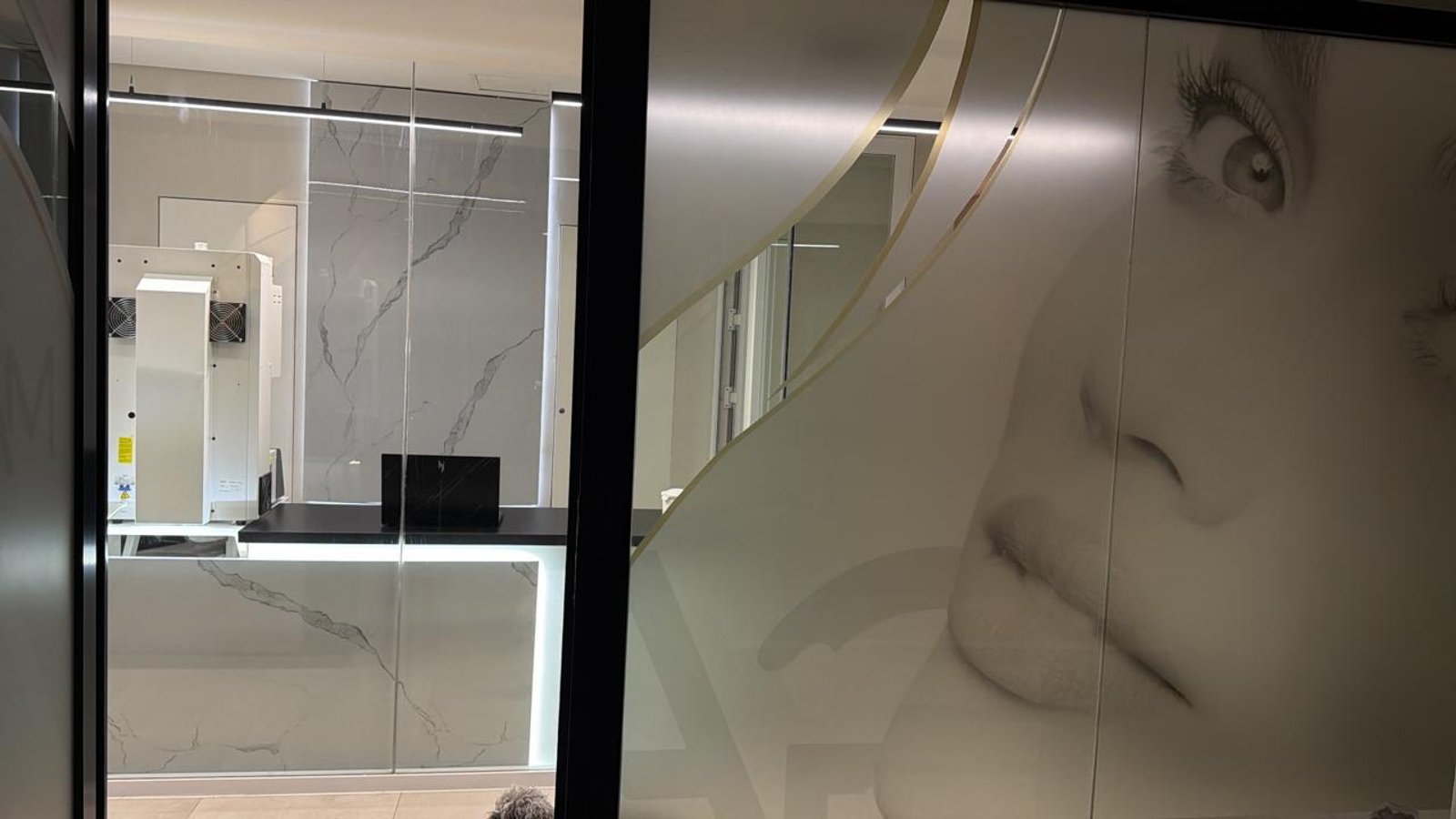 Interior de salón con gráfica de rostro en vidrio esmerilado y mármol — proyecto LABORATORIO CLINICA GAM, por Amorosi Espacios de Diseño, en Neuquén