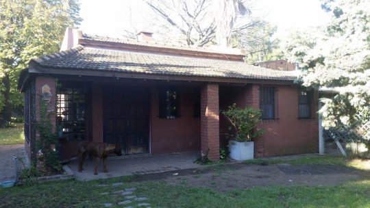 Foto del proyecto