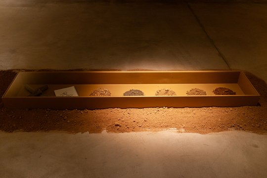 Foto del proyecto