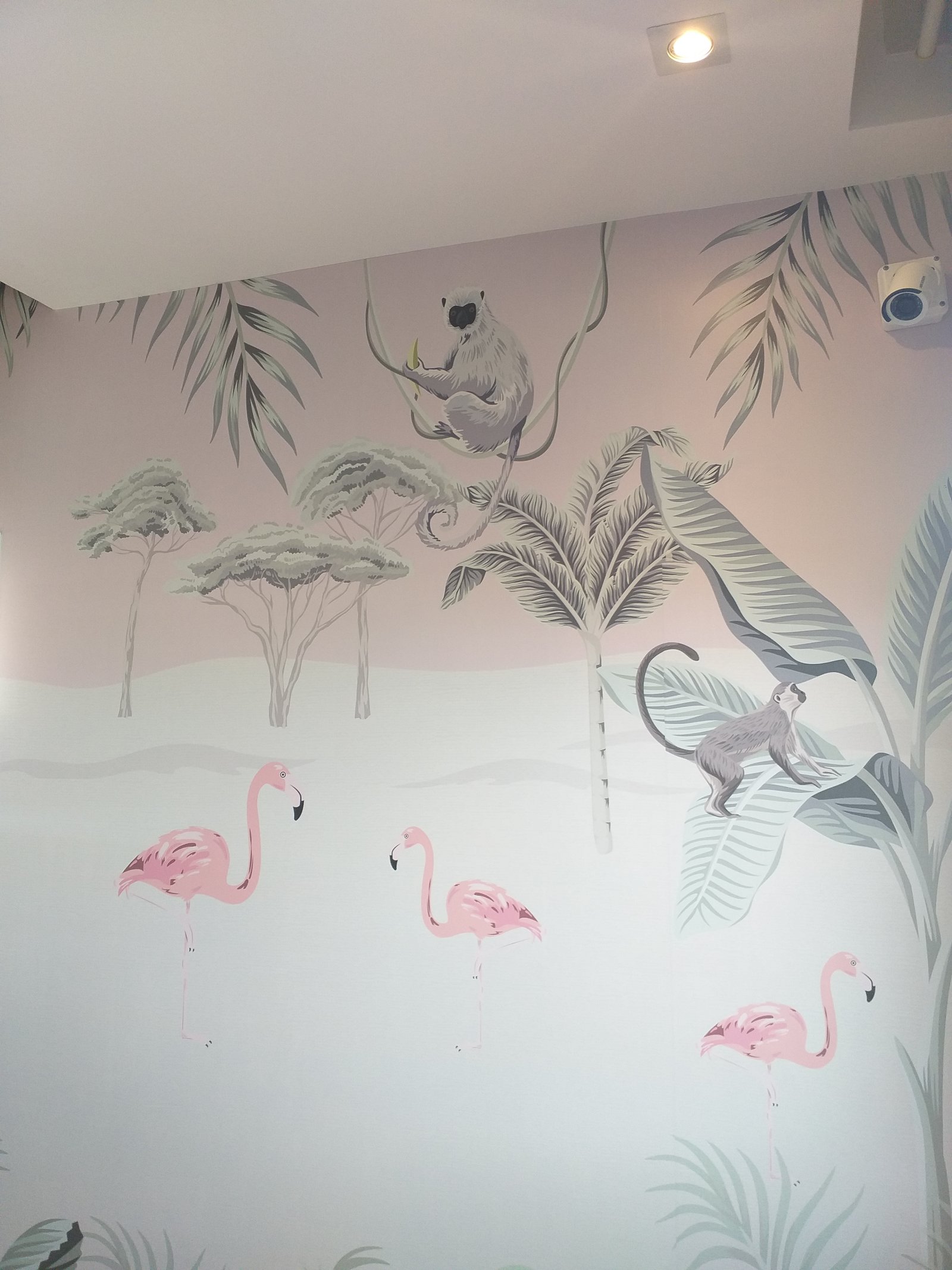  mural temático tropical con monos y flamencos rosas en pared — proyecto Mural flamencos, por Picma Empapelados, Murales, Esmerilados, Prints ,Papeles, en Canning