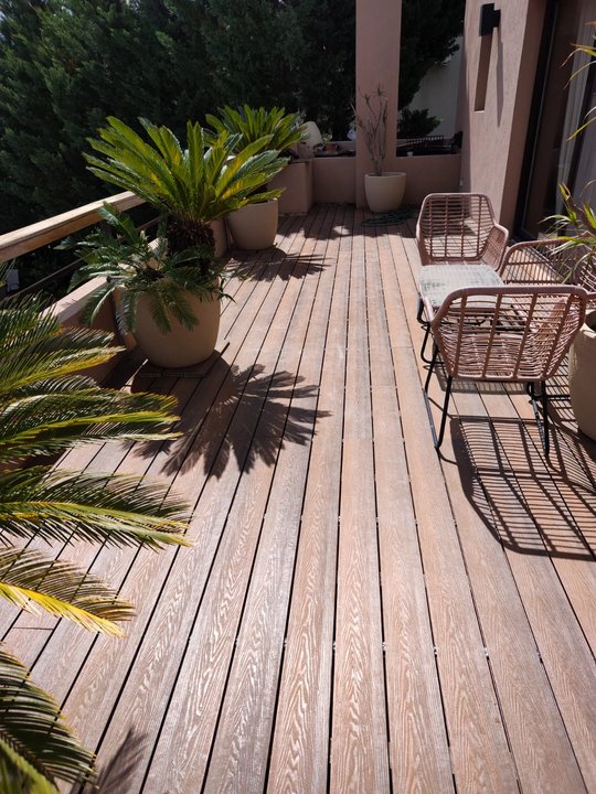 Foto del proyecto