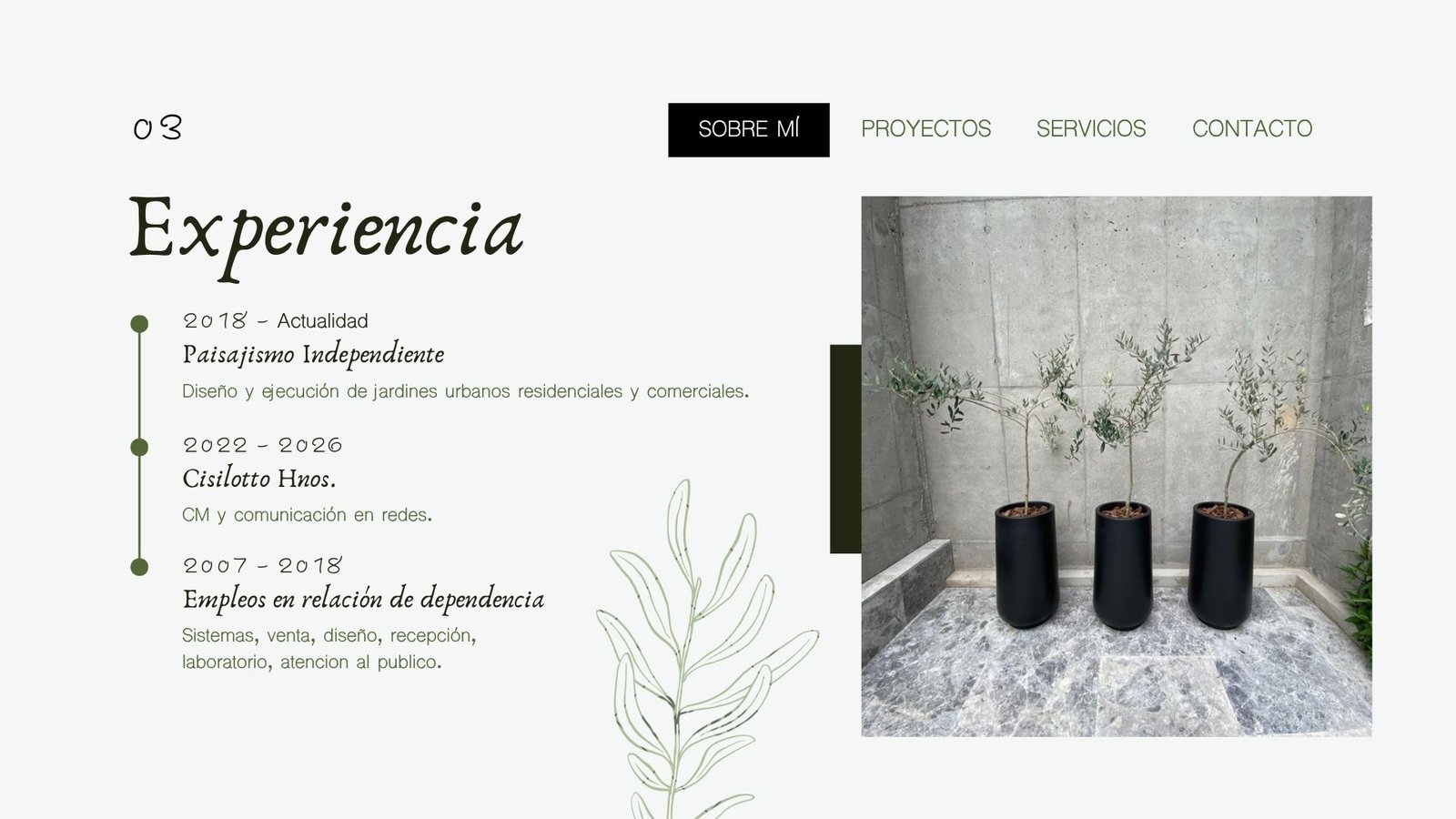 Pátio externo moderno com plantas e parede de concreto — projeto portfolio Paisajismo, por Verdebe design, em Cdad. Autónoma de Buenos Aires