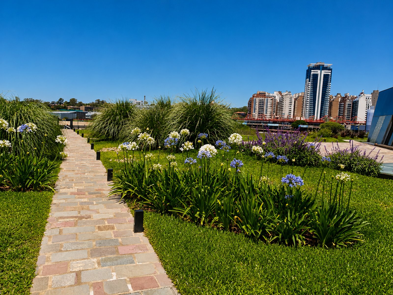 Jardim em terraço urbano com vista para edifícios modernos — projeto Casa de Gobierno :: Córdoba :: Terraza verde :: Acompañamiento STIPA Arte Natura, por STIPA Arte Natural, em Ro
