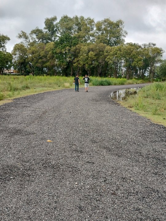 Foto del proyecto