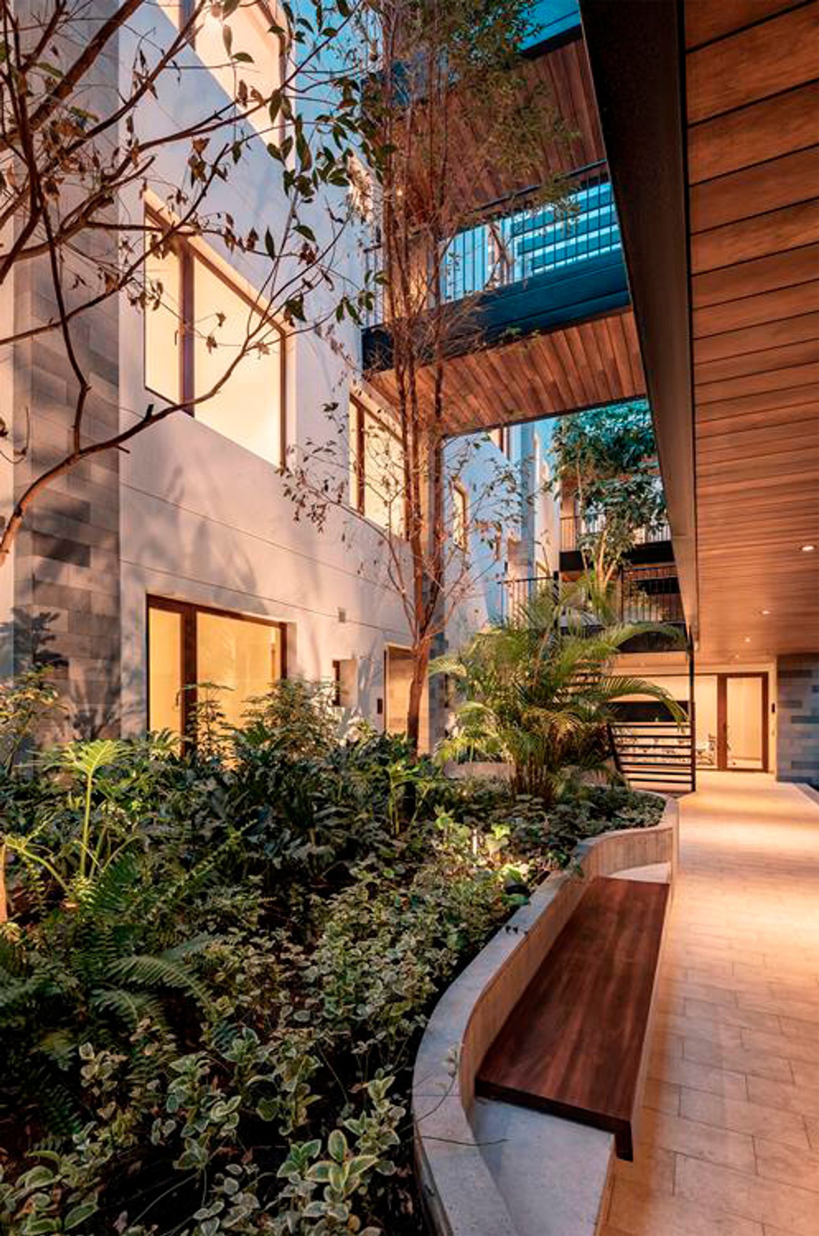 Patio moderno con vegetación exuberante y banco de madera integrado — proyecto Edificio Atria, por MUCHTEK, en Cumbayá
