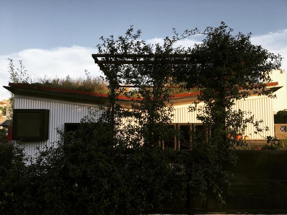 Fachada moderna de madeira com pergolado e vegetação exuberante — projeto Terraza Vegetal Casa Epífita, por Epífita Arquitectura & Paisaje, em Buenos Aires