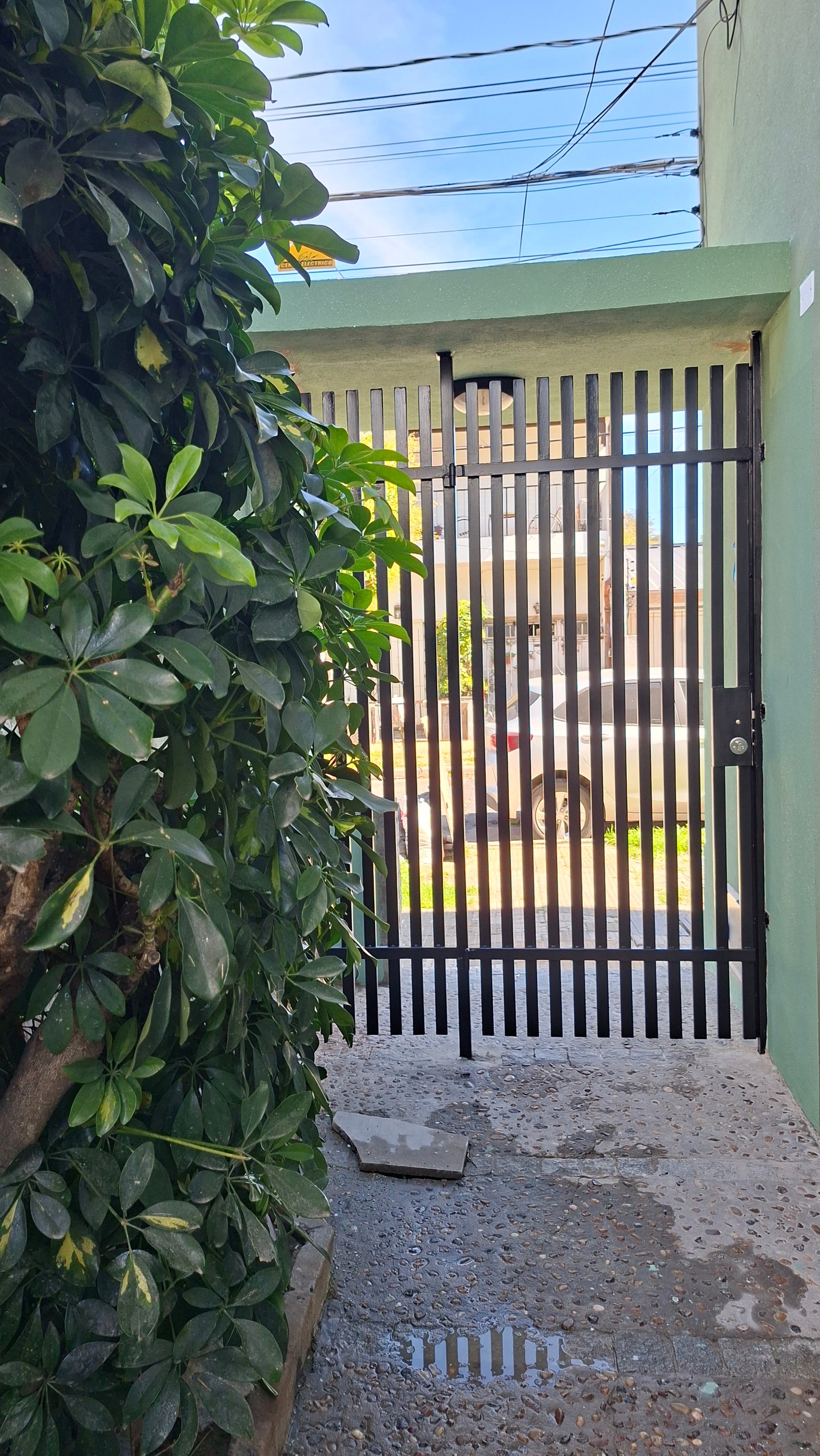 Planta verde junto a portón negro de rejas metálicas en fachada — proyecto AGR 2, por Arquitecta, en B1604 Florida Oeste