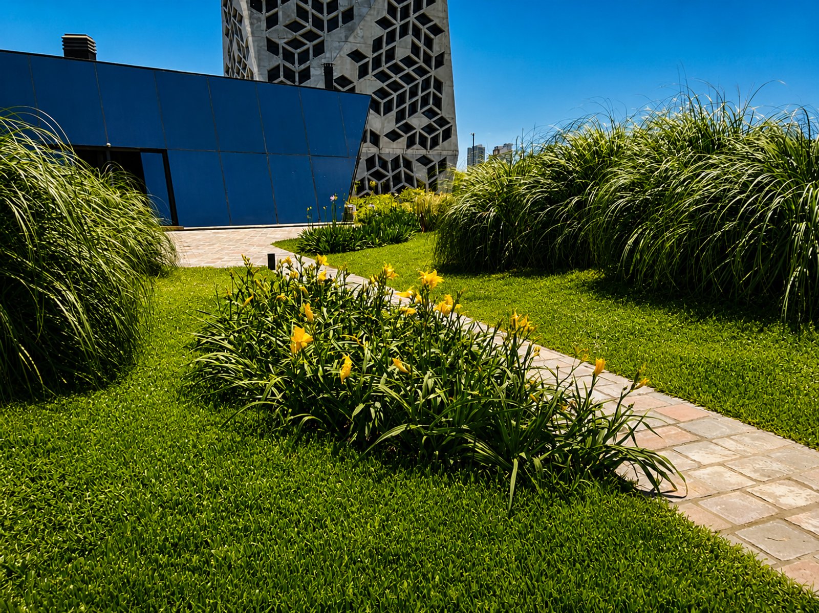 Jardim moderno com fachada geométrica azul e vegetação exuberante — projeto Casa de Gobierno :: Córdoba :: Terraza verde :: Acompañamiento STIPA Arte Natura, por STIPA Arte Natural
