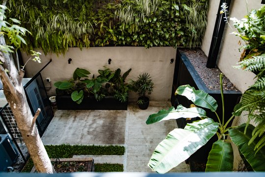 Foto del proyecto