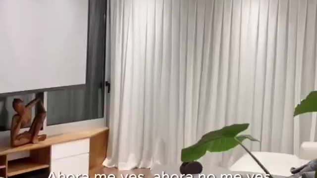 seis uno proyecto cañitas