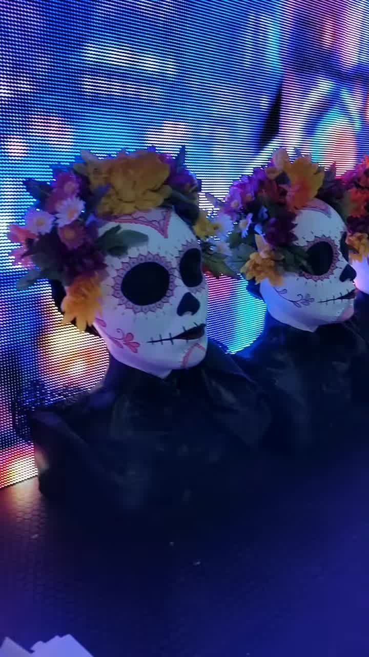 Video del proyecto