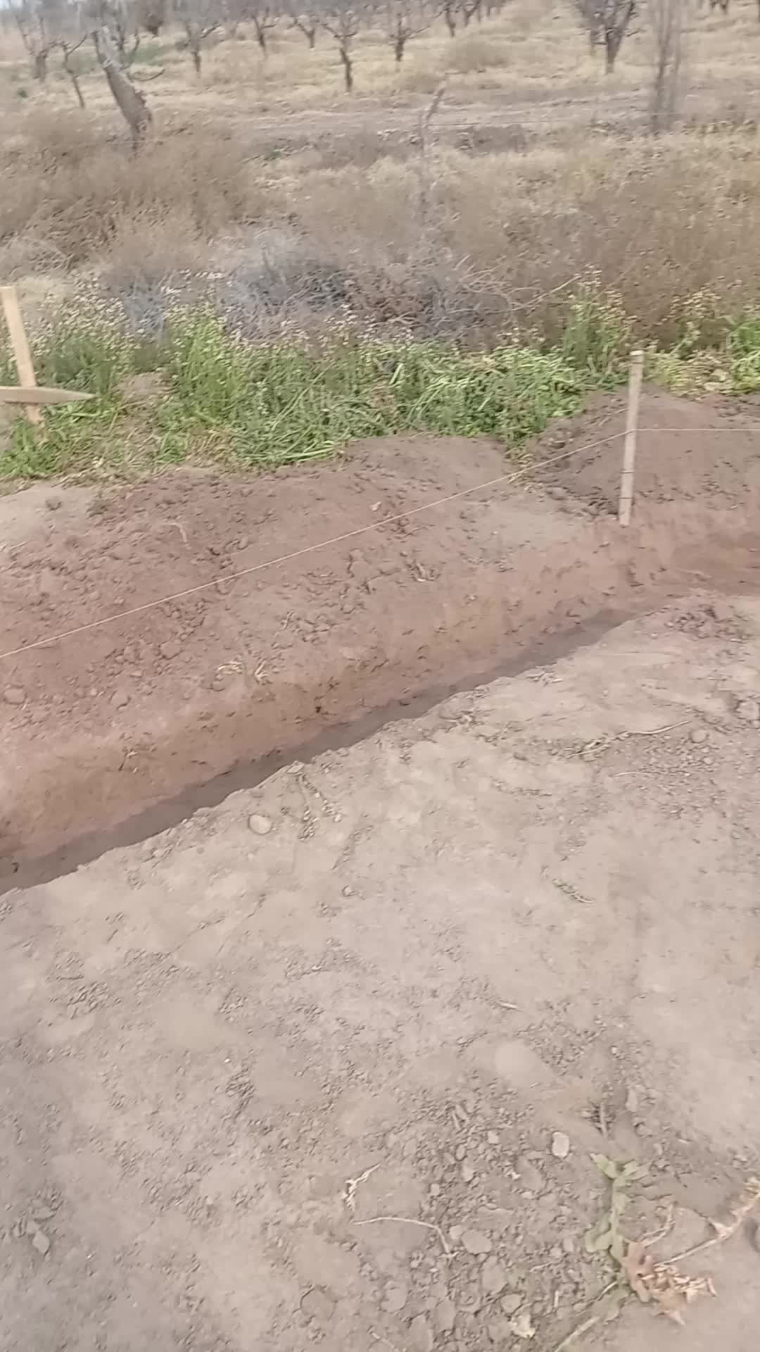 Video del proyecto
