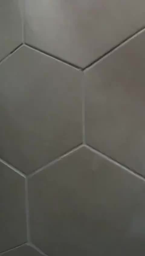 Video del proyecto