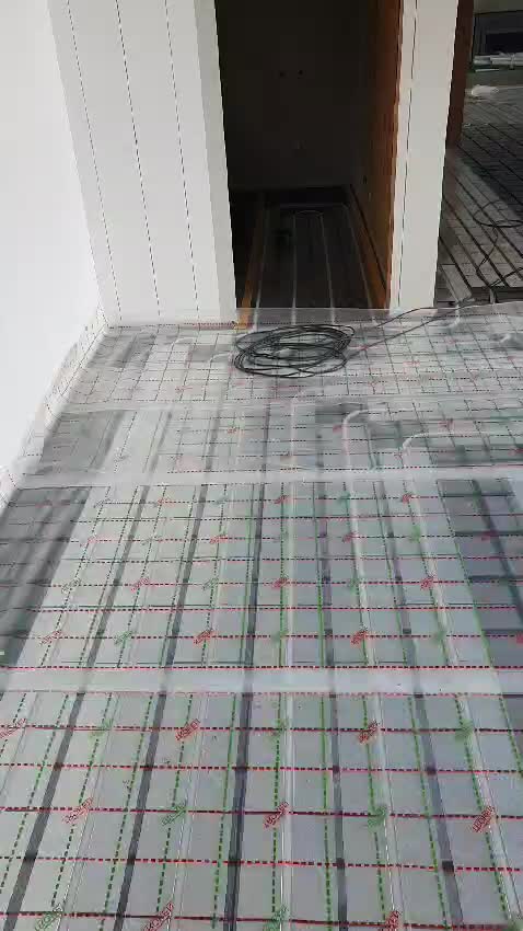 Video del proyecto