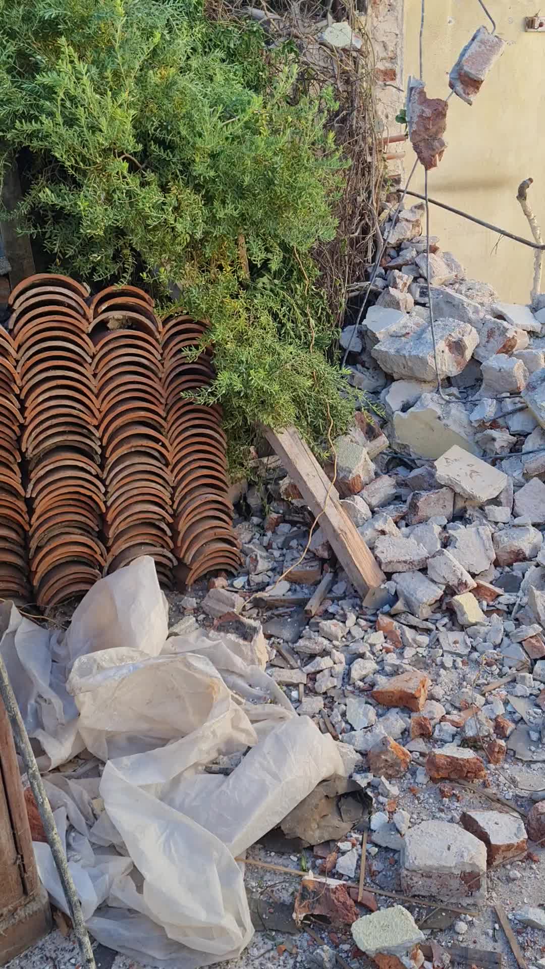 Video del proyecto