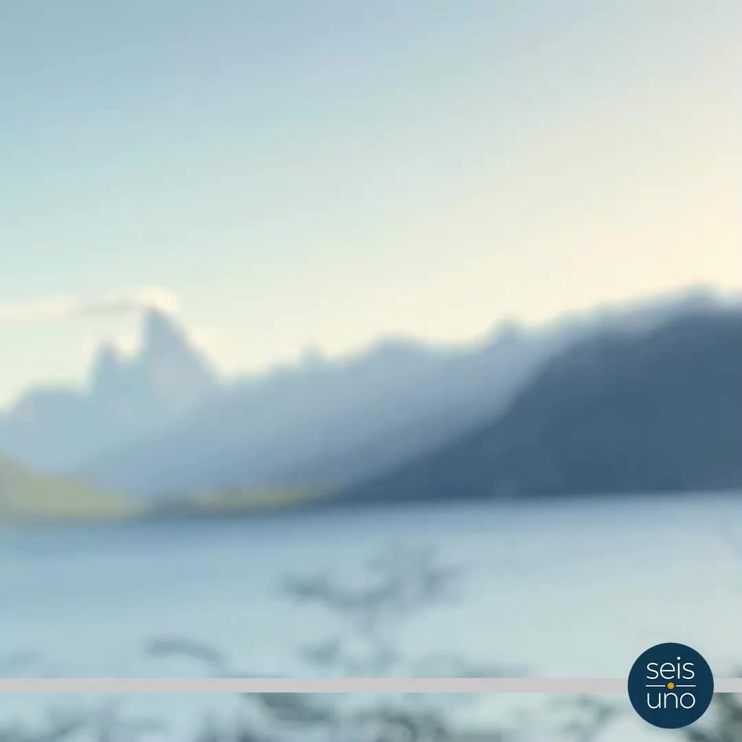Video del proyecto