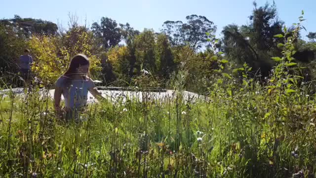 Video del proyecto