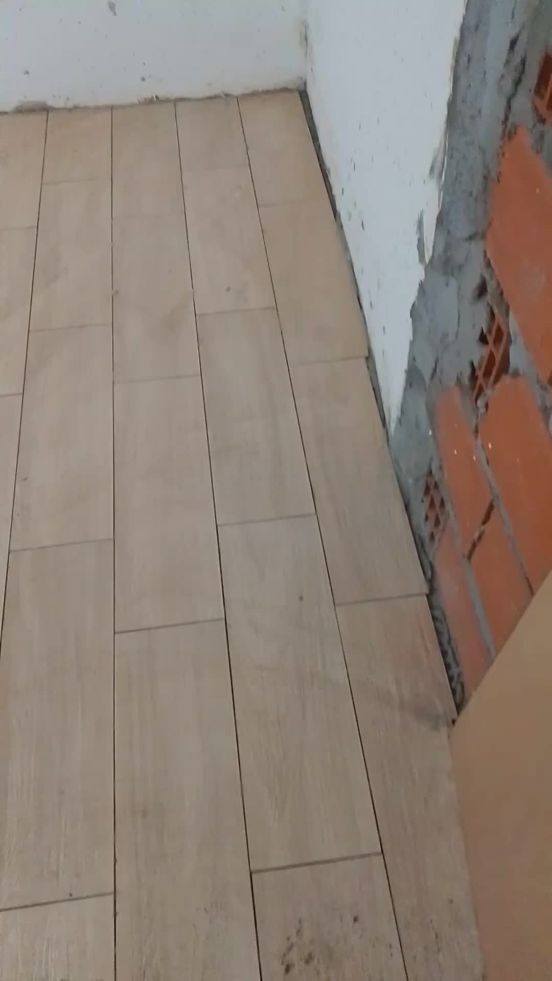 Video del proyecto