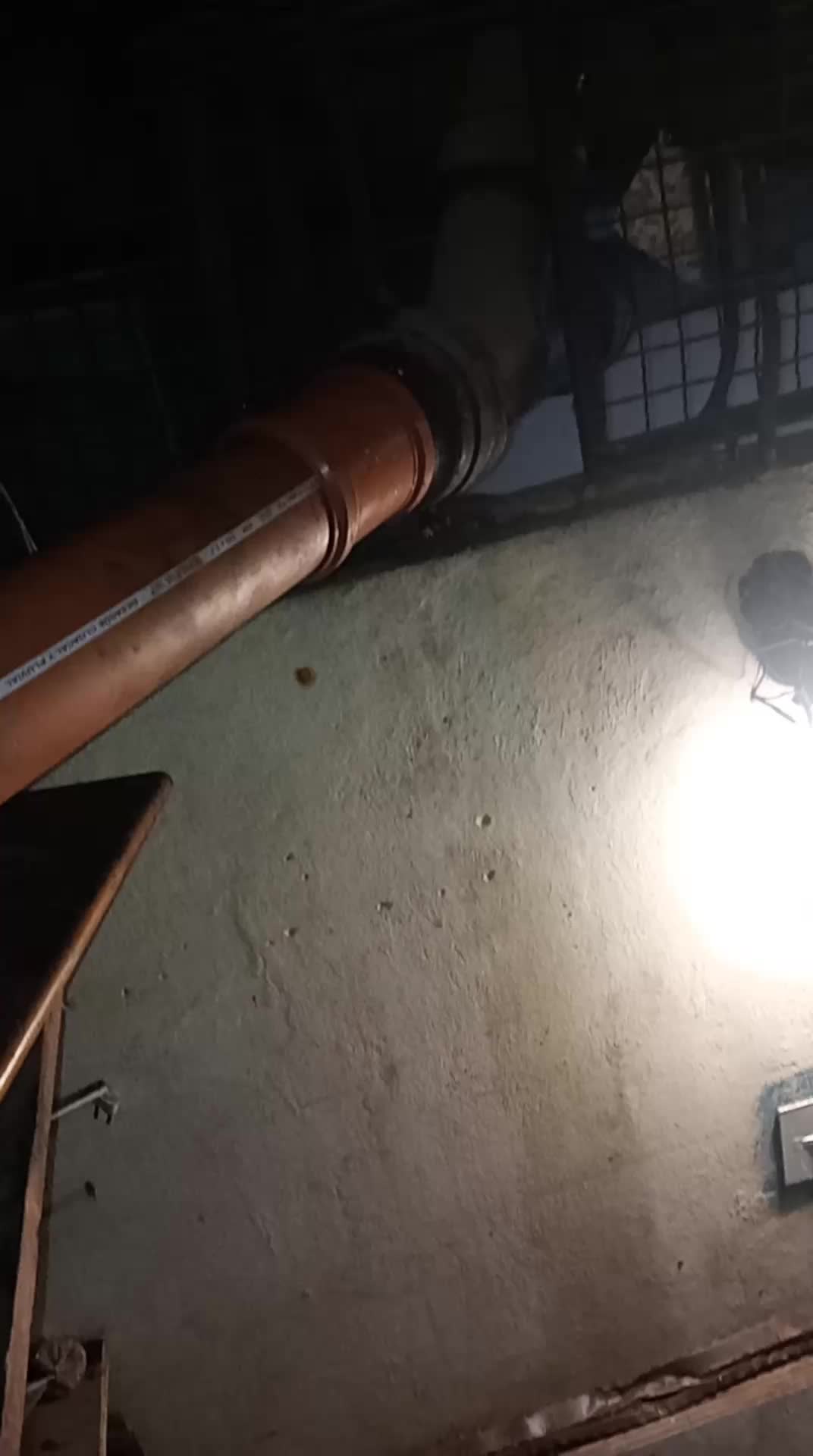 Video del proyecto