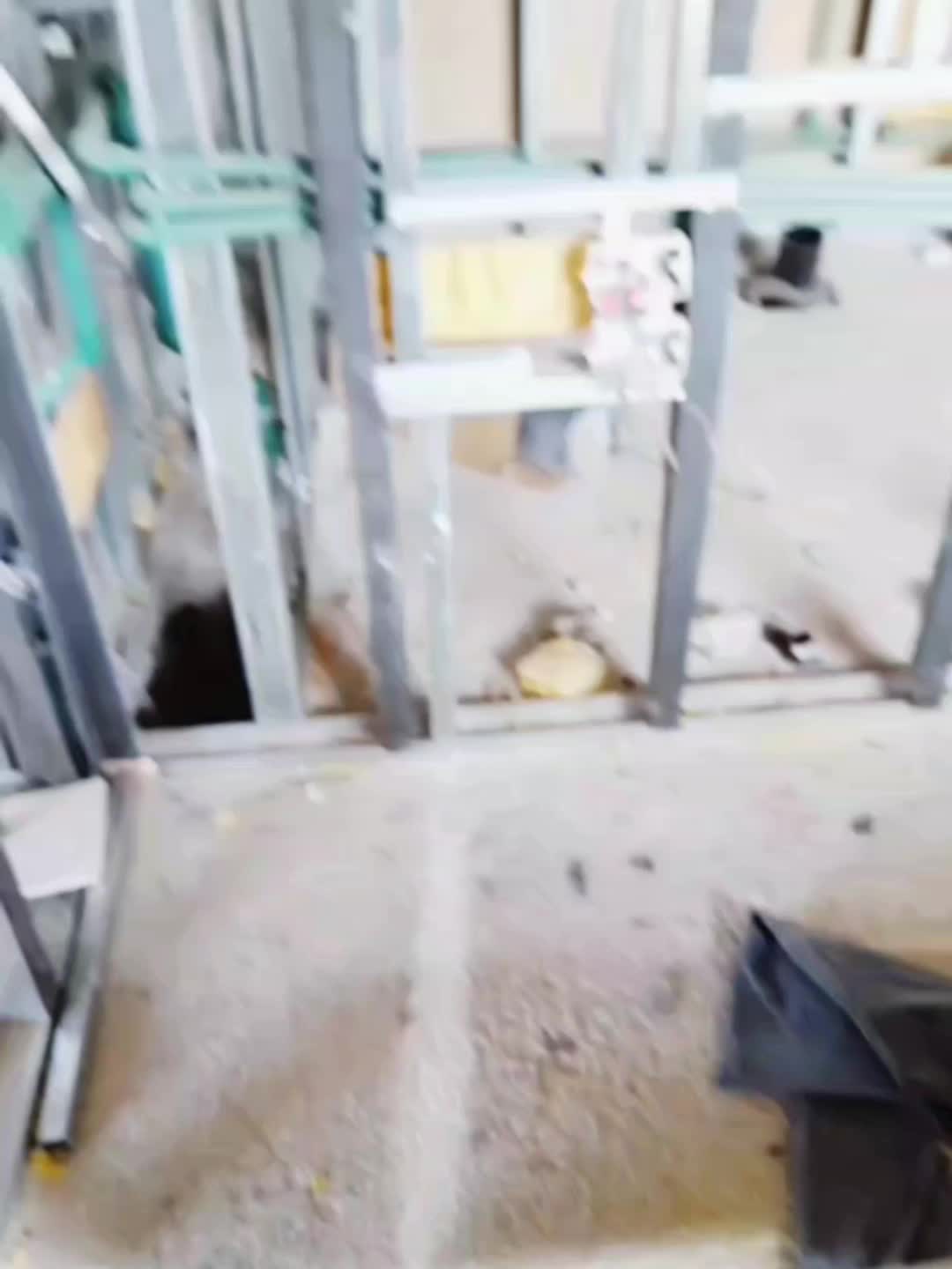 Video del proyecto
