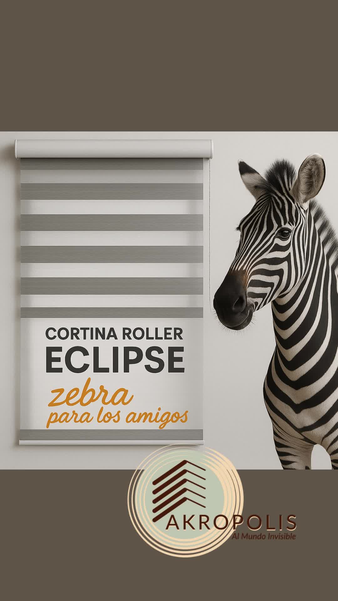 Video del proyecto