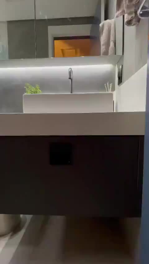 Video del proyecto