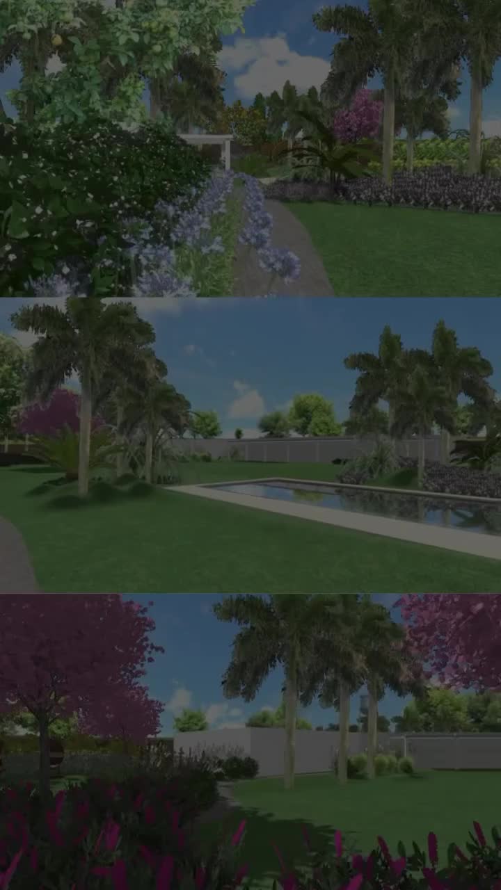 Video del proyecto