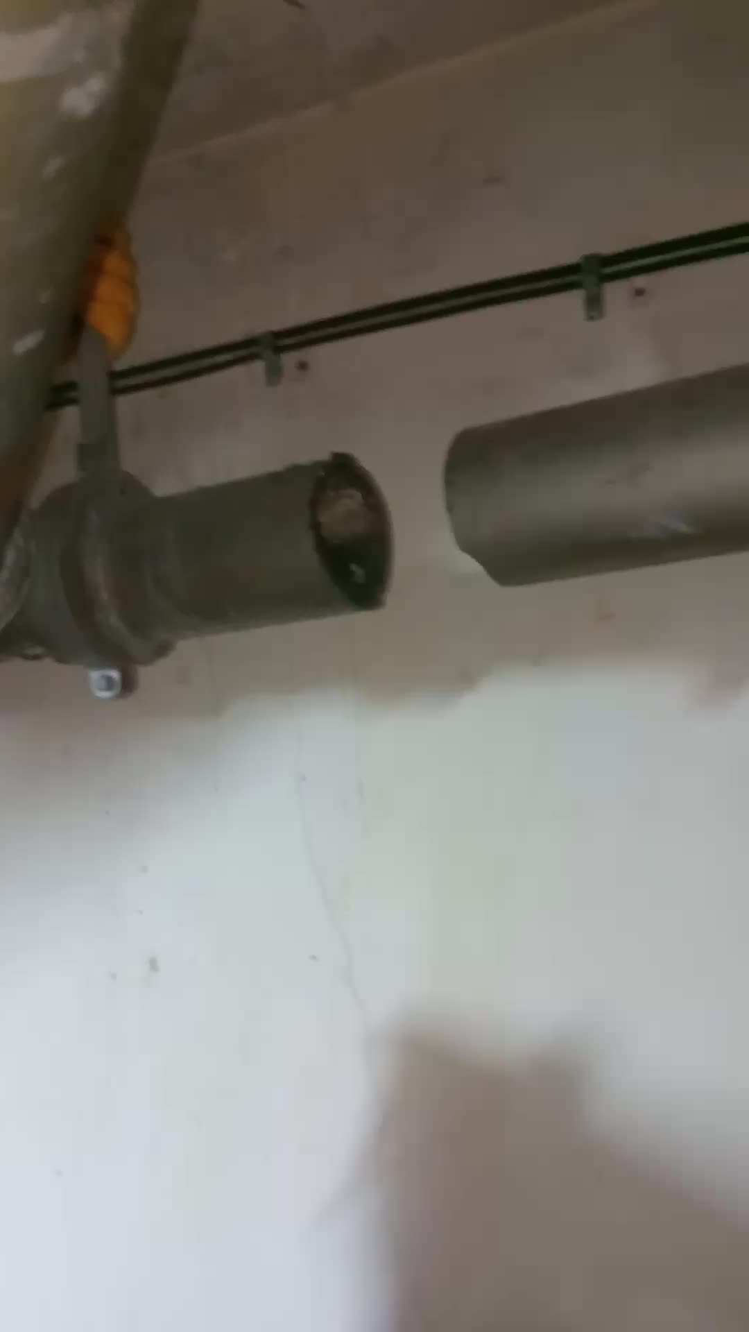 Video del proyecto