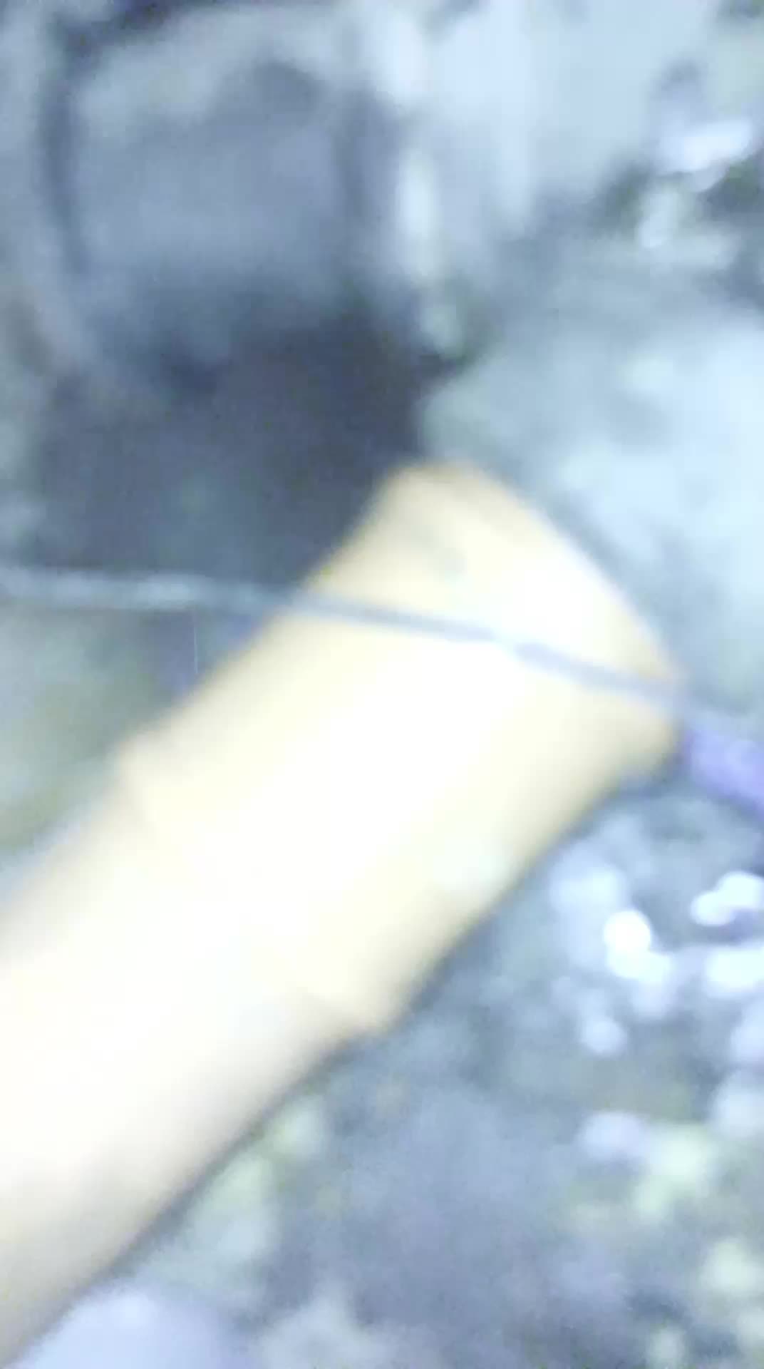 Video del proyecto