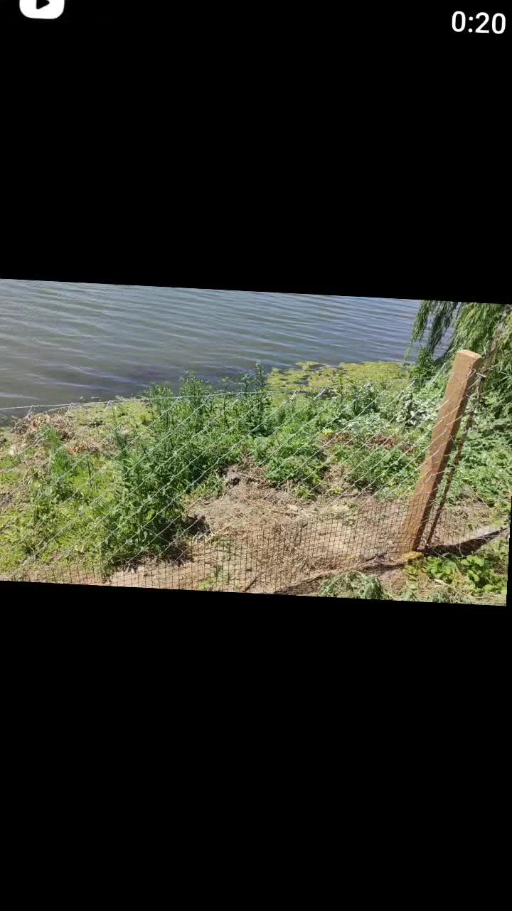 Video del proyecto