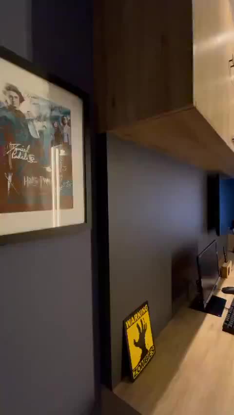 Video del proyecto