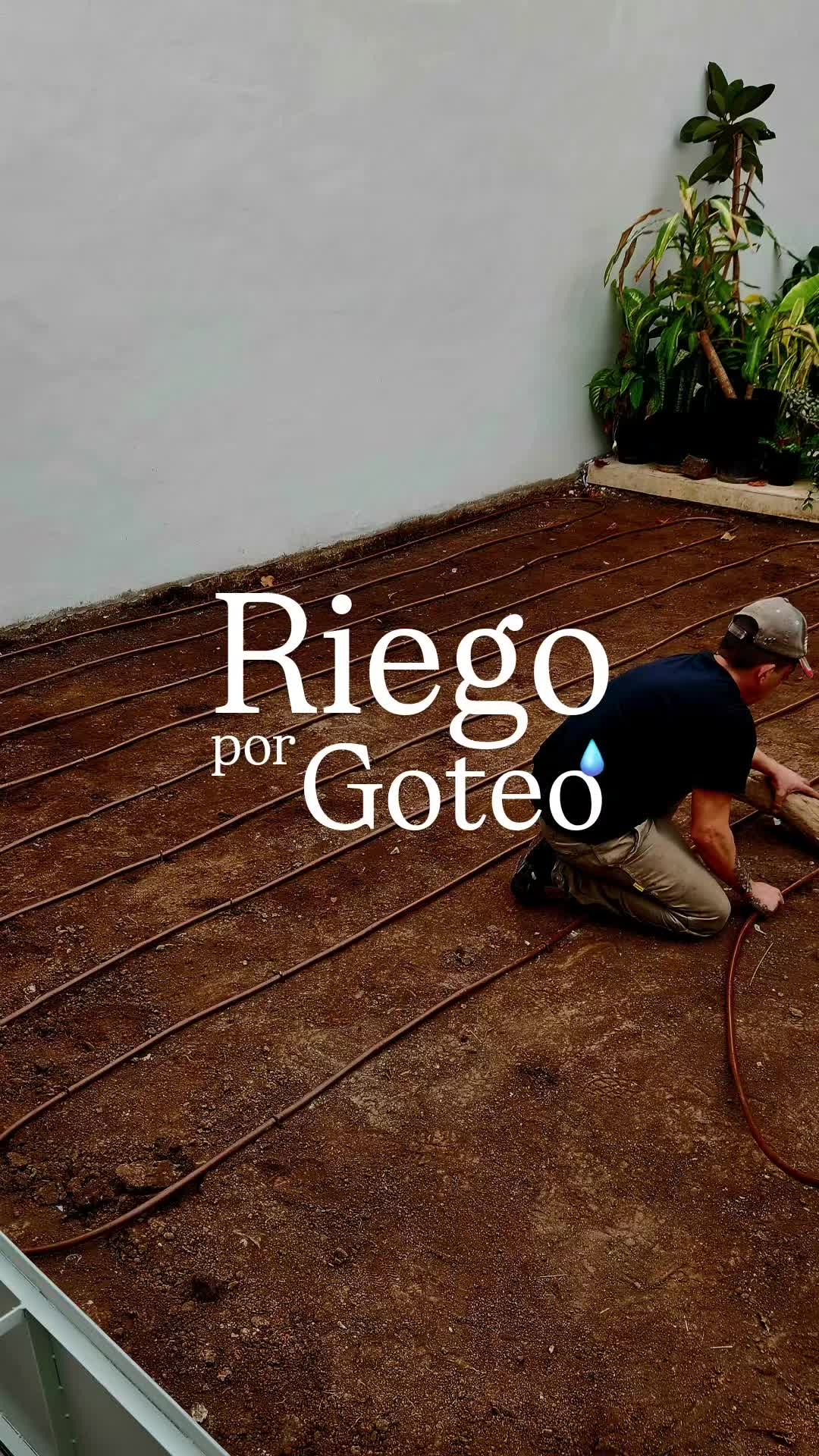 Video del proyecto