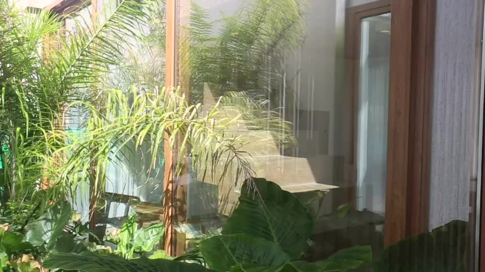 Video del proyecto