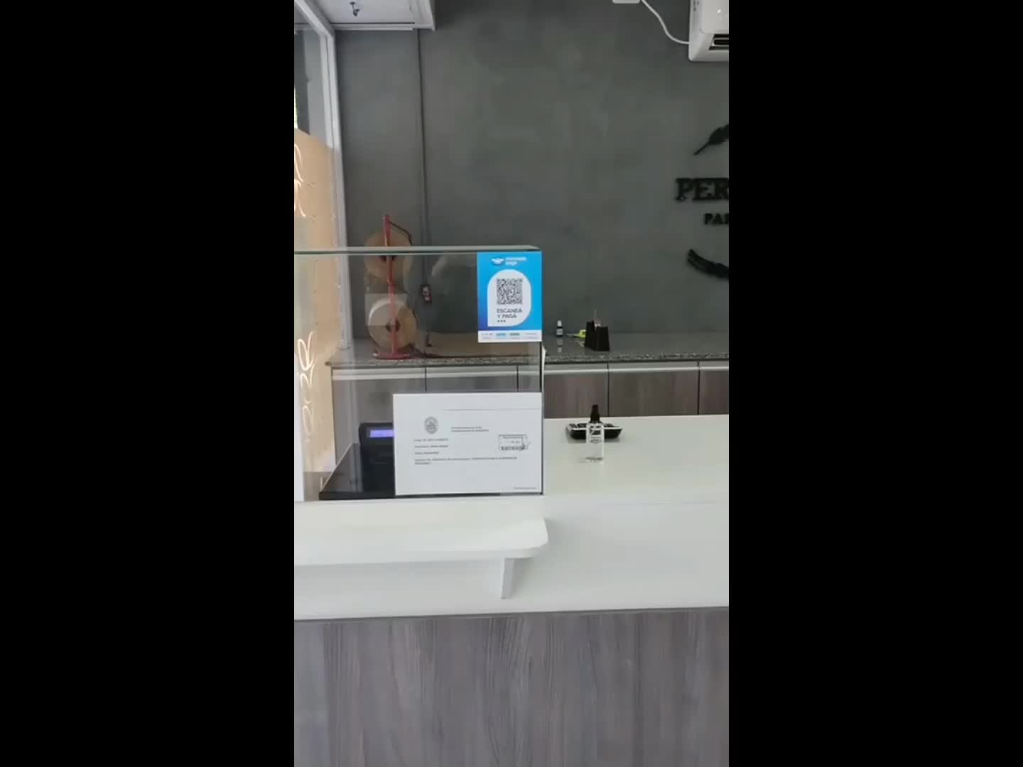 Video del proyecto