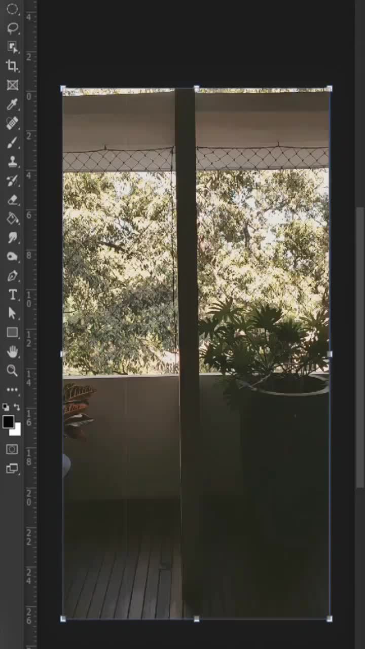 Video del proyecto
