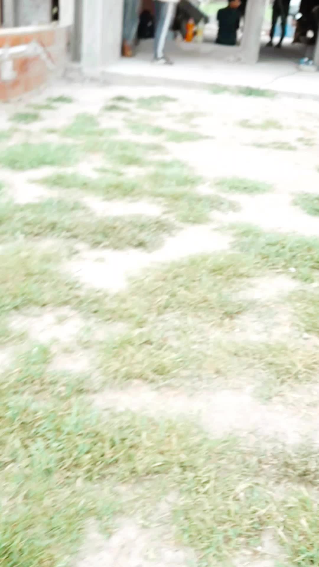 Video del proyecto