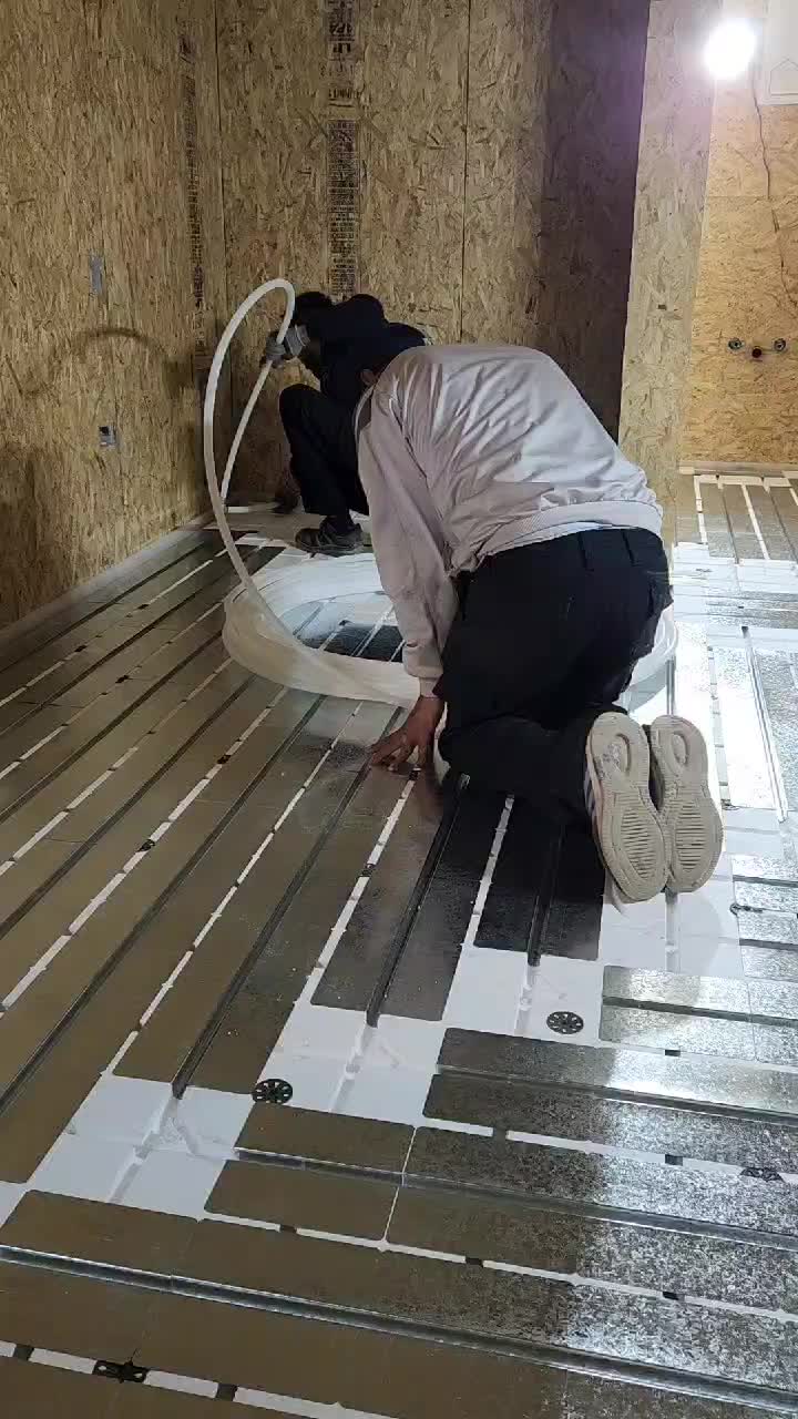 Video del proyecto