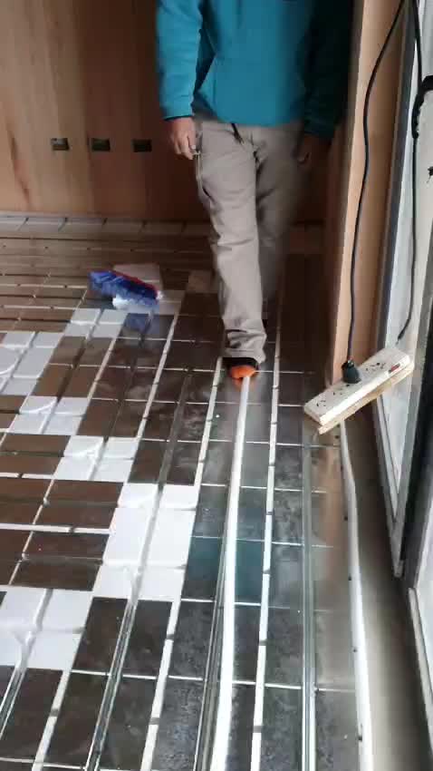 Video del proyecto