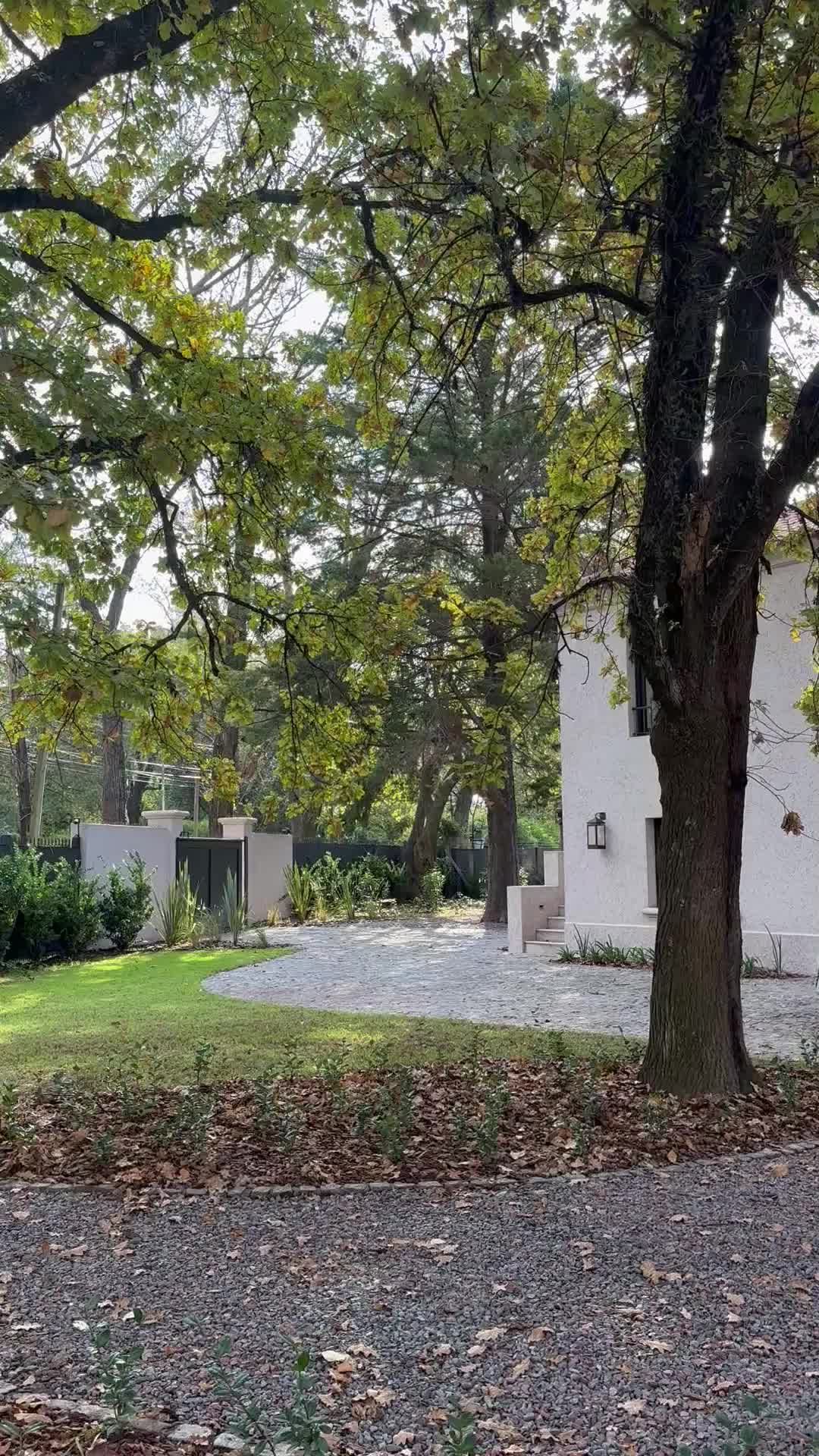 Video del proyecto