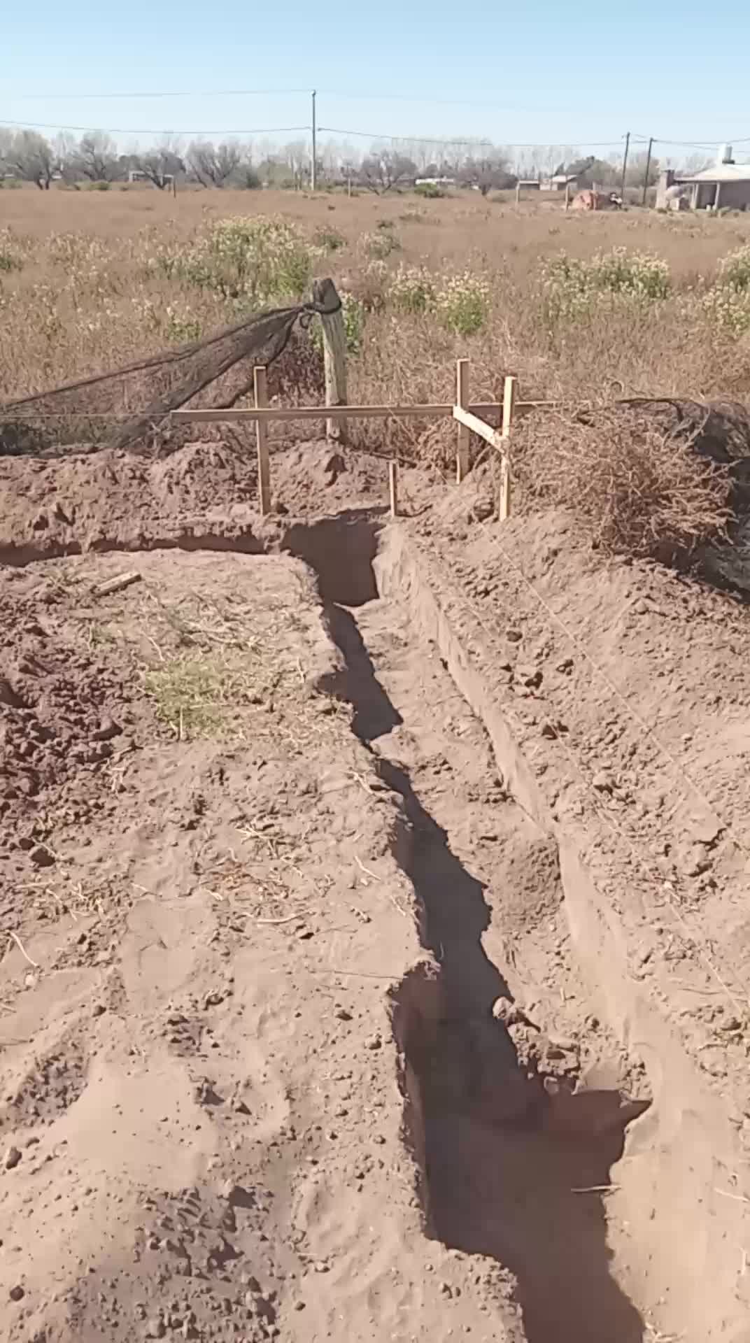 Video del proyecto