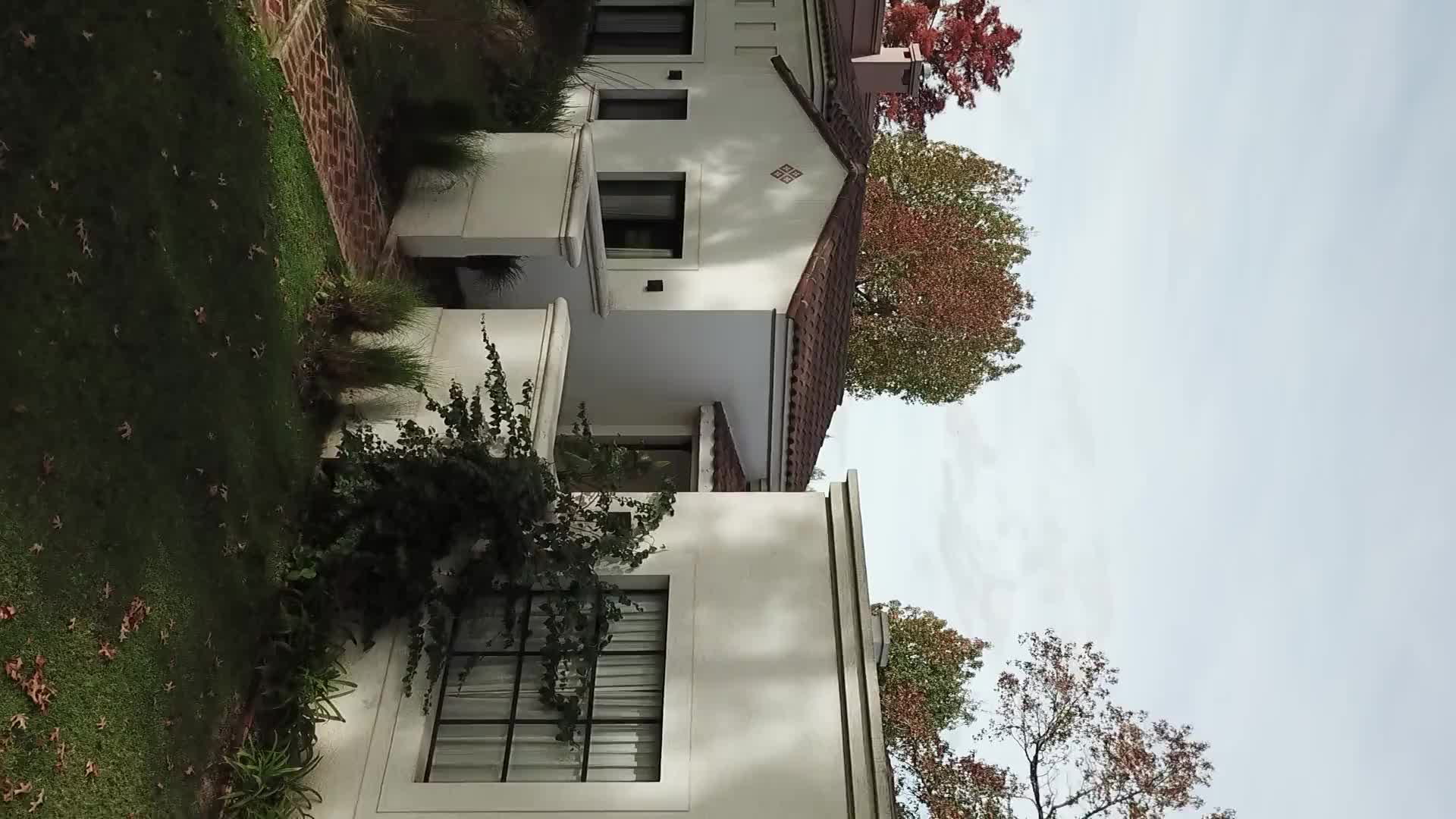 Video del proyecto