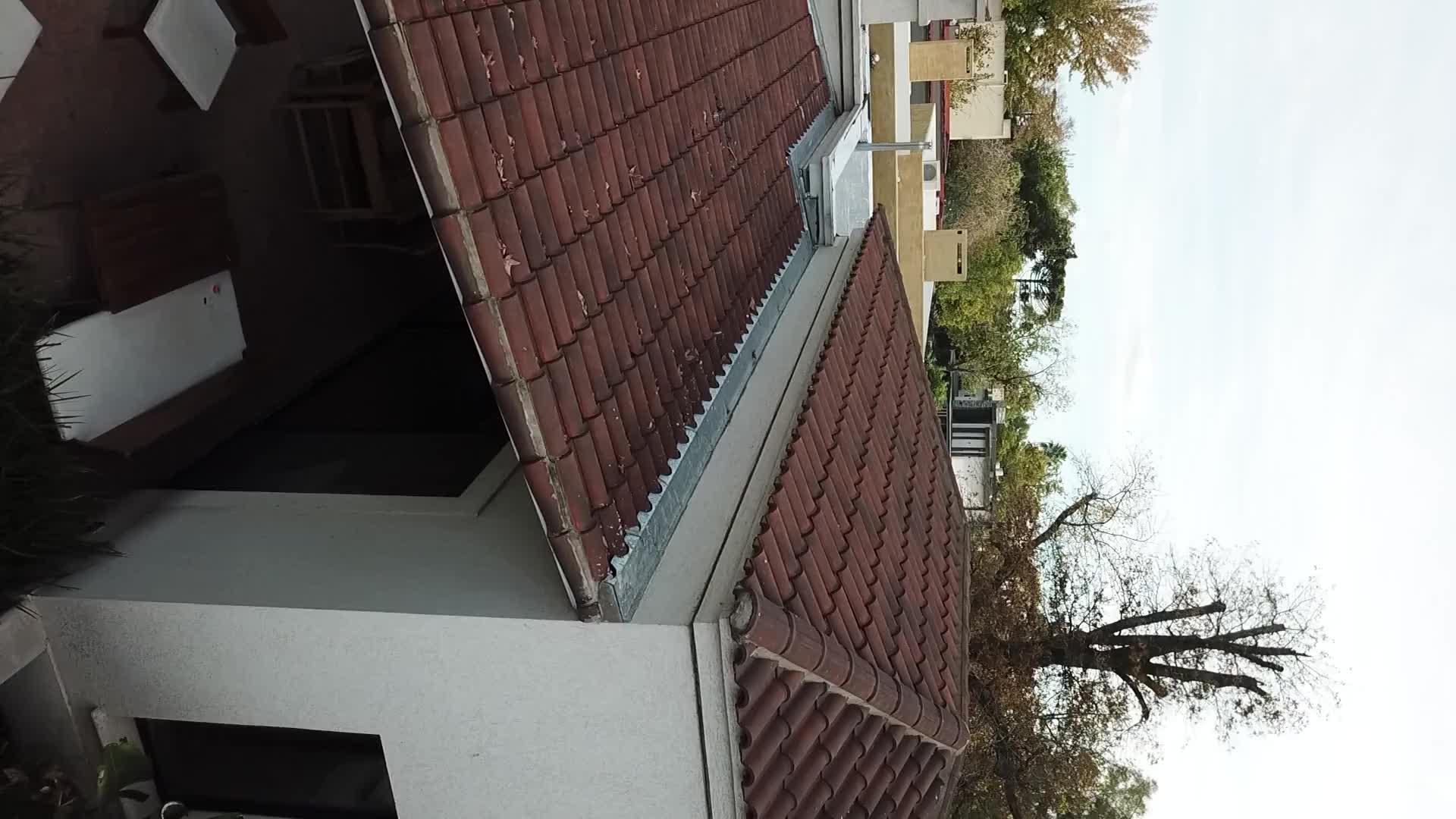 Video del proyecto